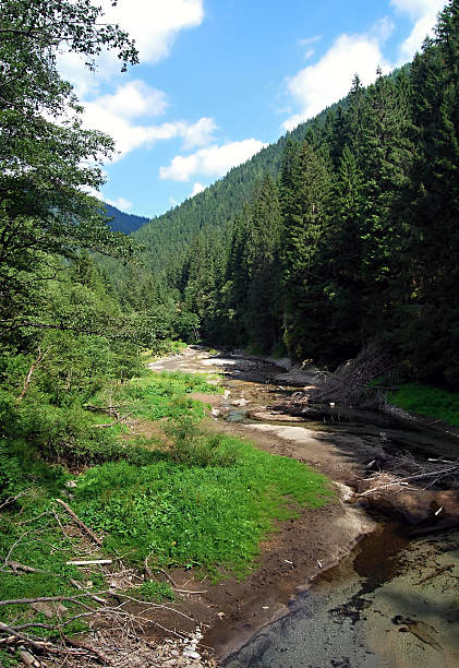 istock Rackova dolina valley with stream in Zapadne Tatry mountains 520123584
