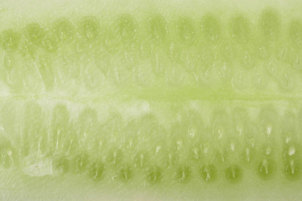 section of cucumber as a background close-up macro.