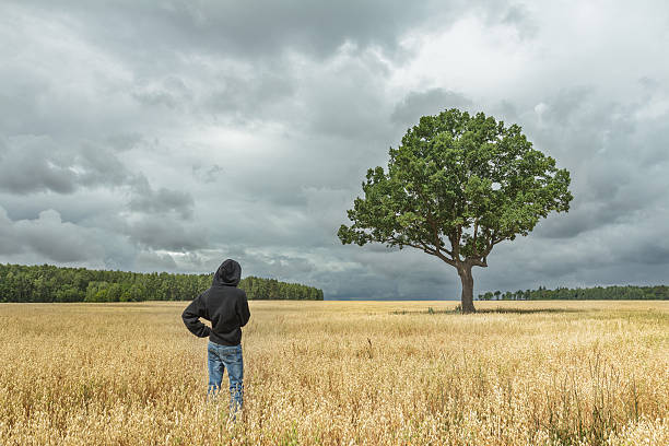 Boy looking at stunning landscape with huge oak tree