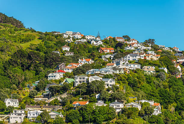 istock Colorful houses in Wellingto 520125930