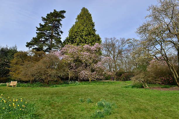 istock English country garden 520126978