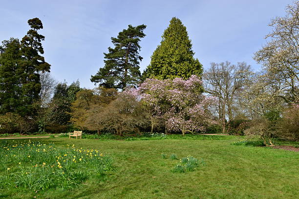 istock English country garden 520127184