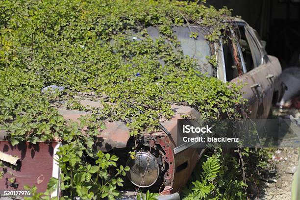 Scrap Car Under Vines Stock Photo - Download Image Now - Abandoned, Car, Car Accident
