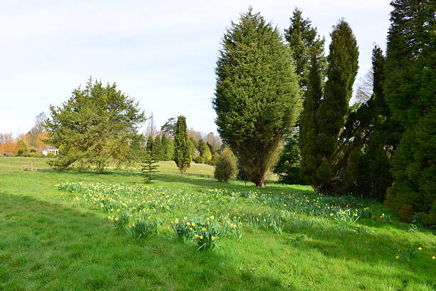 English country garden in Springtime,