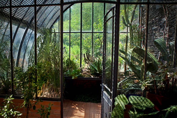 Plants and flowers inside a classic French greenhouse