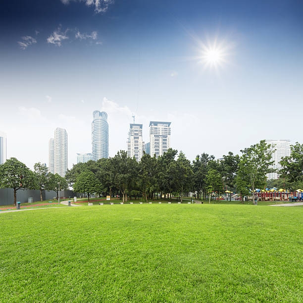 istock lawn and cityscape in city park 520130673