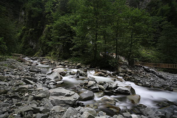 wasserfall - natural phenomenon waterfall rock tranquil scene stock-fotos und bilder