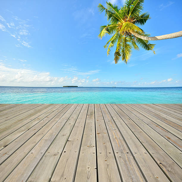 istock Tropical green lagoon and empty wooden pier 520132333