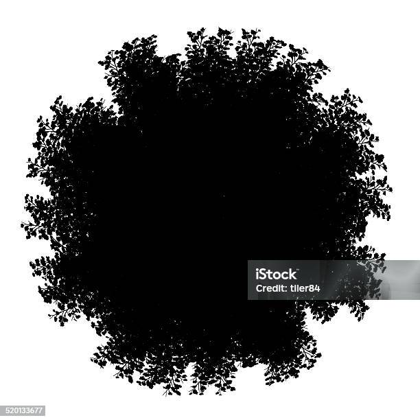 Top View Silhouette Of Red Maple Tree Isolated On White Stock Photo - Download Image Now