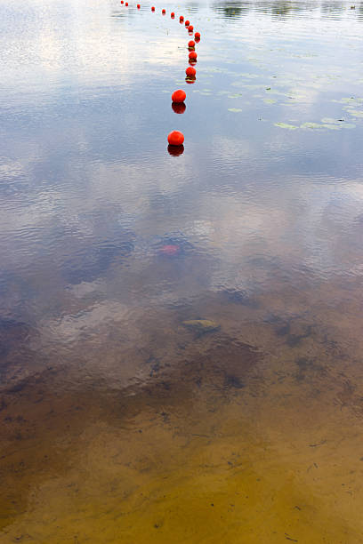 istock Surface of a lake with red balls 520133967