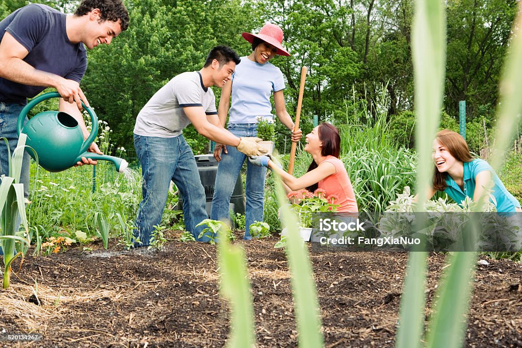 Grupo de trabalho no Jardim comunitário - Foto de stock de Comunidade royalty-free