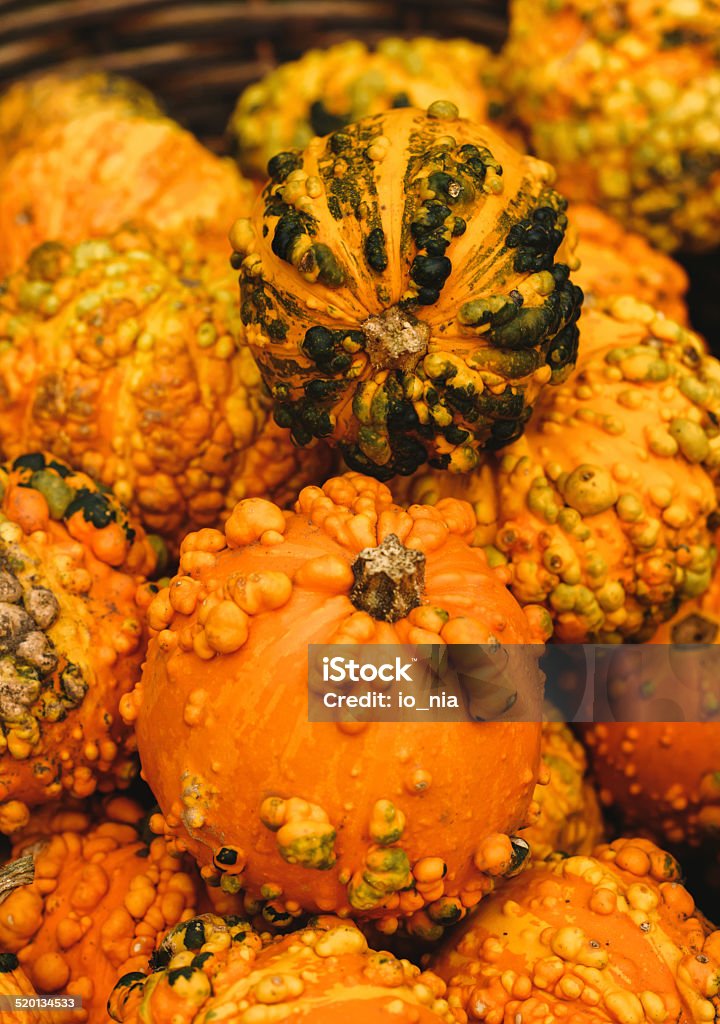 Colorful pumpkins Colorful pumpkins. Halloween pumpkins. Agriculture Stock Photo