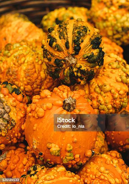 Colorful Pumpkins Stock Photo - Download Image Now - Agriculture, Autumn, Awe