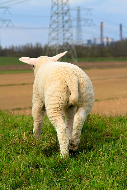 Climate change stock photo