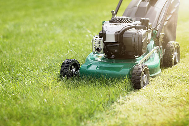 Mowing the grass Mowing or cutting the long grass with a green lawn mower in the summer sun lawn stock pictures, royalty-free photos & images