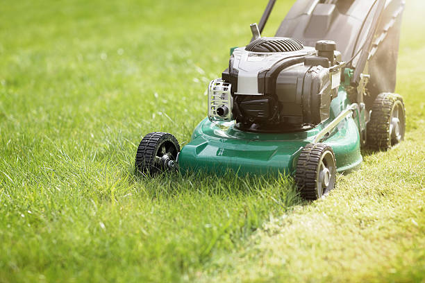 mowing a grama - sunlight summer grass landscaped - fotografias e filmes do acervo