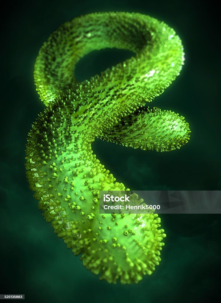 virus Ébola virus sous microscope - Photo de Accident et désastre libre de droits