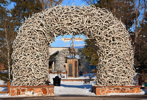 Antler Arches in Jackson Hole, Wyoming Large elk antler arches create a curve archway entrance to  Jackson Hole, Wyoming square. There are Antler archways on all four corners of the park. jackson hole photos stock pictures, royalty-free photos & images