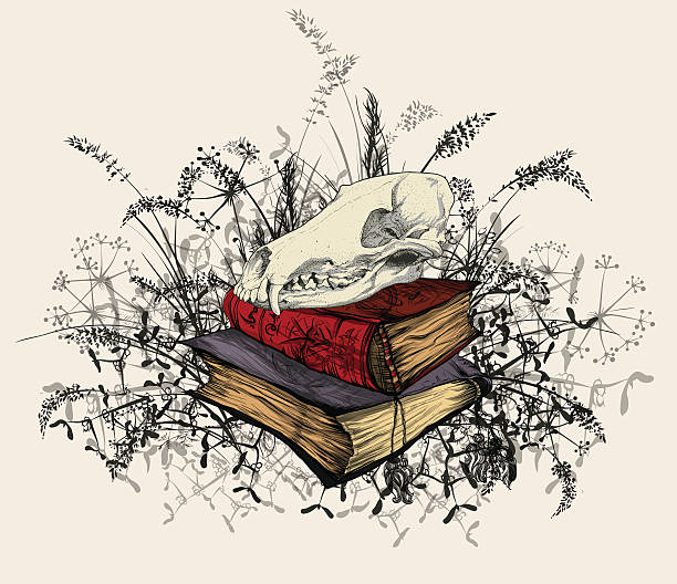 illustrazioni stock, clip art, cartoni animati e icone di tendenza di teschio in occulte libri, circondato da un erba. - animal skull