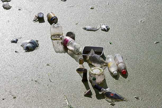 Beer Rings Polution 40+ Water Pollution Dirty Beer Bottle Bottle Cap Stock Photos, Pictures ...