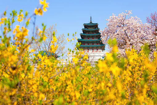 Gyeongbokgung palace in Seoul, Korea