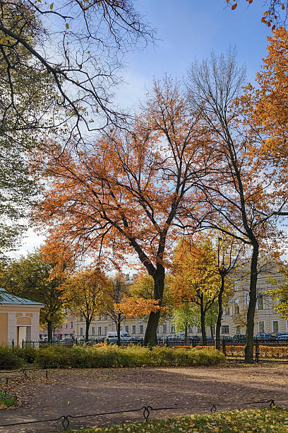 istock autumn park on a sunny day 520162813