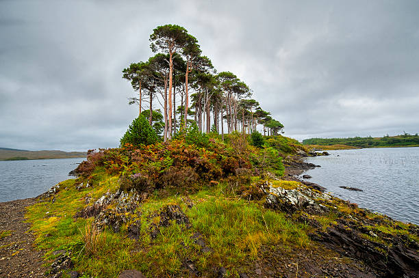 istock Connemara mountains and lake scenery, Ireland 520163655