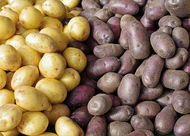 istock Potatoes at Farmers Market 520164169