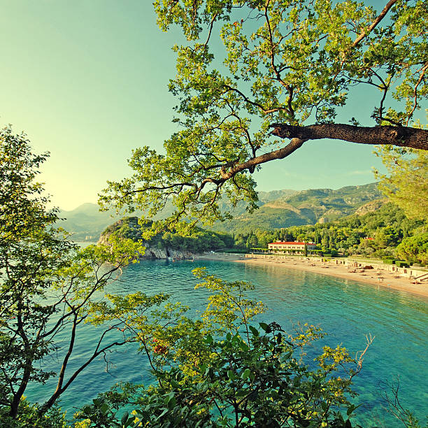 istock beautiful beach, Mediterranean sea (Italy) 520164407
