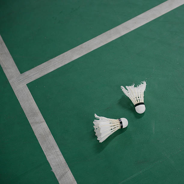badminton - badminton school gymnasium shuttlecock sport foto e immagini stock