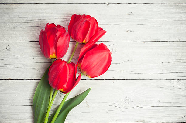 istock tulips in a vase on white background isolated 520166532