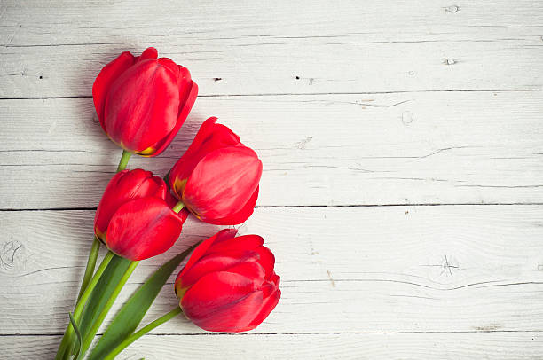 istock tulips in a vase on white background isolated 520166642