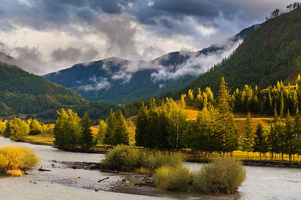 istock Amazing mountain landscape with trees and a river. 520166988