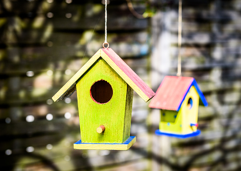 Two old weathered DIY birdhouses hanging from the tree. Colorful small bird house with green walls.