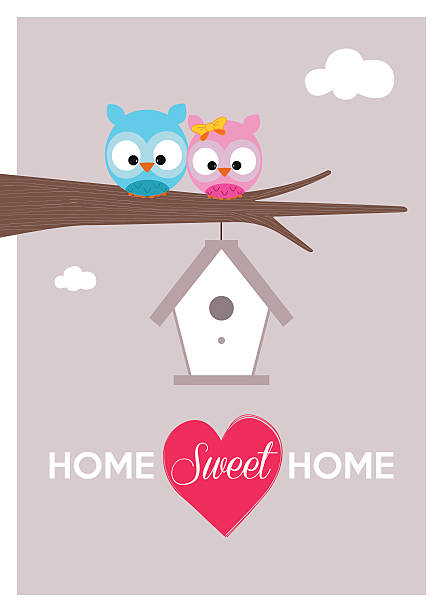 illustrazioni stock, clip art, cartoni animati e icone di tendenza di coppia di owls in amore vicino il nido accogliente - couple abstract multi colored new