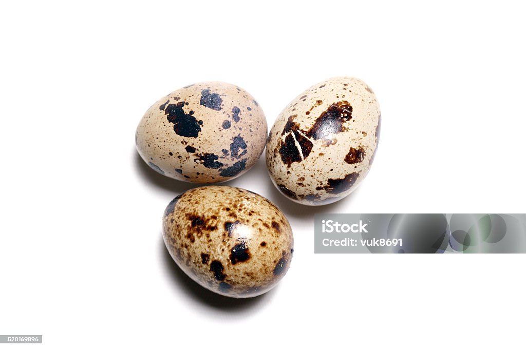 메추리알 메추라기에 대한 스톡 사진 및 기타 이미지 - 메추라기, 달걀, 동물 알 - iStock 메추리알 메추라기에 대한 스톡 사진 및 기타 이미지 - 메추라기, 달걀, 동물 알 - Istock