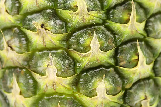 Photo of Green pineapple rind