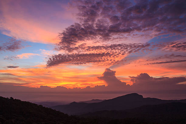 istock Doi Inthanon National park in the sunrise. 520173370
