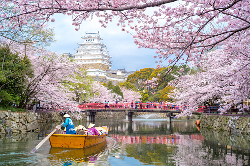 Himeji, Japan - April 3, 2016: Himeji Castle with beautiful cherry blossom in spring season. It  is regarded as the finest surviving example of prototypical Japanese castle architecture