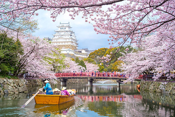 Himeji Castle in Hyogo, Japan Himeji, Japan - April 3, 2016: Himeji Castle with beautiful cherry blossom in spring season. It  is regarded as the finest surviving example of prototypical Japanese castle architecture honshu stock pictures, royalty-free photos & images