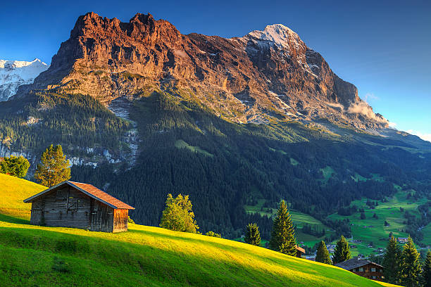 일반적인 압살했다 고산대 산장, 아이거 노스 페이스, 그린데발트, 스위스, 유럽 - jungfrau switzerland hiking bernese oberland 뉴스 사진 이미지