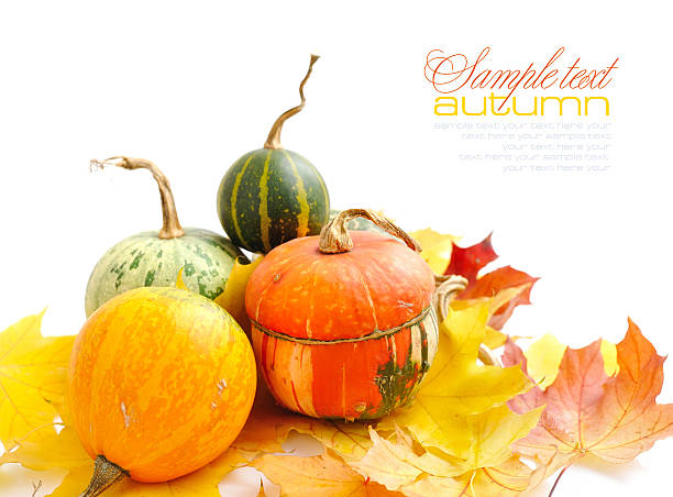 istock Decorative pumpkins and autumn leaves on a white background 520181402