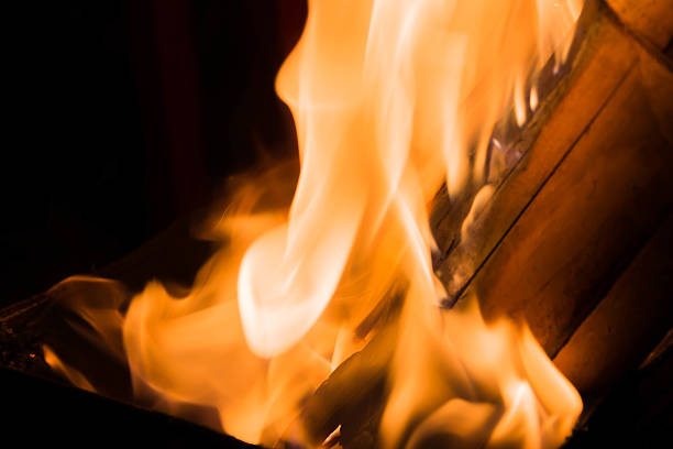 istock Blazing fire and flames on dry bamboo 520181510
