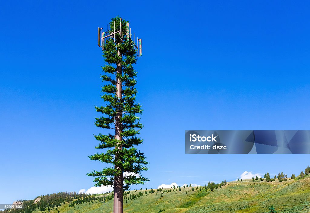 Green Cellular Phone Tower that looks like a pine tree environmentally friendly cellular phone tower antenna that looks like a pine tree Repeater Tower Stock Photo