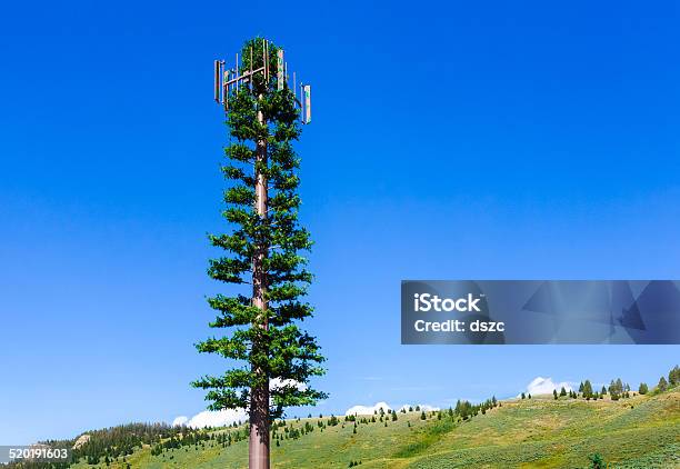 Green Cellular Phone Tower That Looks Like A Pine Tree Stock Photo - Download Image Now