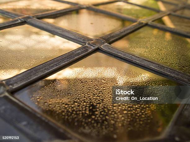 Stained Glass Leaded Pane Stock Photo - Download Image Now - 2013, Antique, Autumn