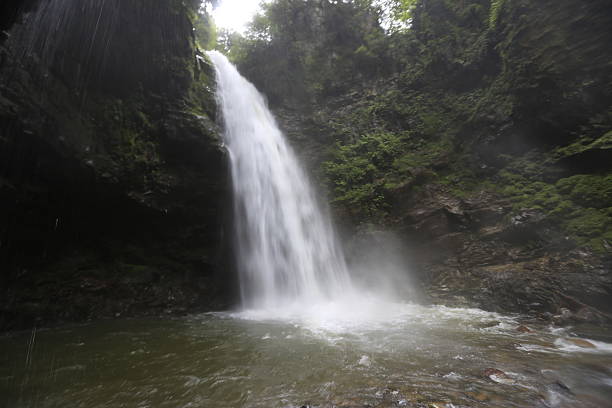 cascata - flowing rock national park waterfall foto e immagini stock