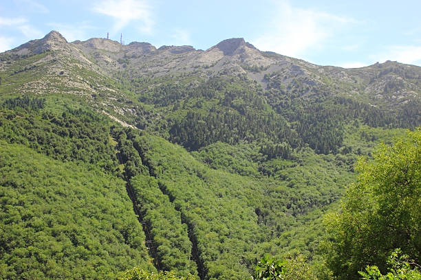 istock the mountains of Elba Island 520198453