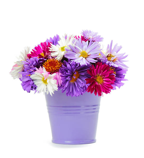 istock Bouquet of flowers 520214693