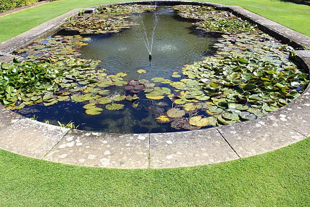 Photo showing an ornamental garden pond with crystal clear water and aeriation provided by an attractive fountain.  Lots of water lily pads provide shade for the goldfish, while the edge of the liner is hidden by paving stones.